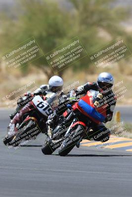 media/May-14-2023-SoCal Trackdays (Sun) [[024eb53b40]]/Turn 5 Tree of Life (1125am)/